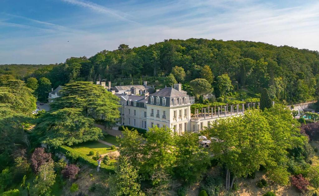 an aerial view of a mansion in the trees at Chateau De Rochecotte in Saint-Patrice