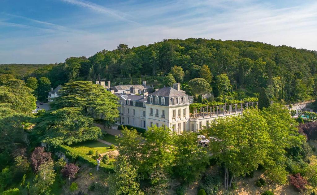 eine Luftansicht eines Herrenhauses in den Bäumen in der Unterkunft Chateau De Rochecotte in Saint-Patrice