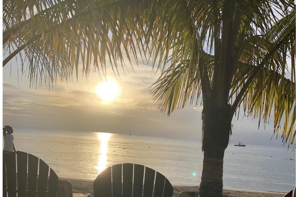 una playa con sillas, una palmera y el océano en Seacret Studios - Cozy Jamaican Retreat apts, en Negril