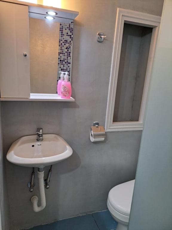 een badkamer met een wastafel, een toilet en een spiegel bij Giasemi traditional house in Poros
