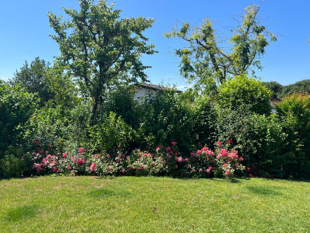 a garden with pink flowers and bushes in a yard at Steba House Savani Barbara Foresteria Lombarda in Lonato