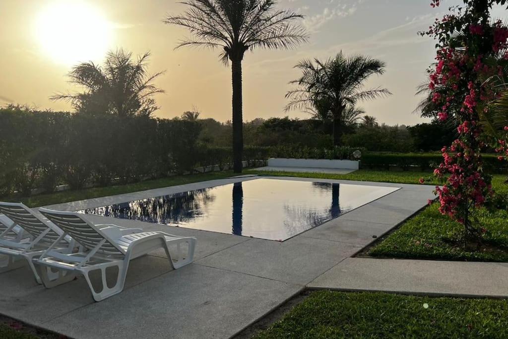 a pool with white chairs next to a palm tree at Maya Plage, Villa en bord de mer in Cap Skirring