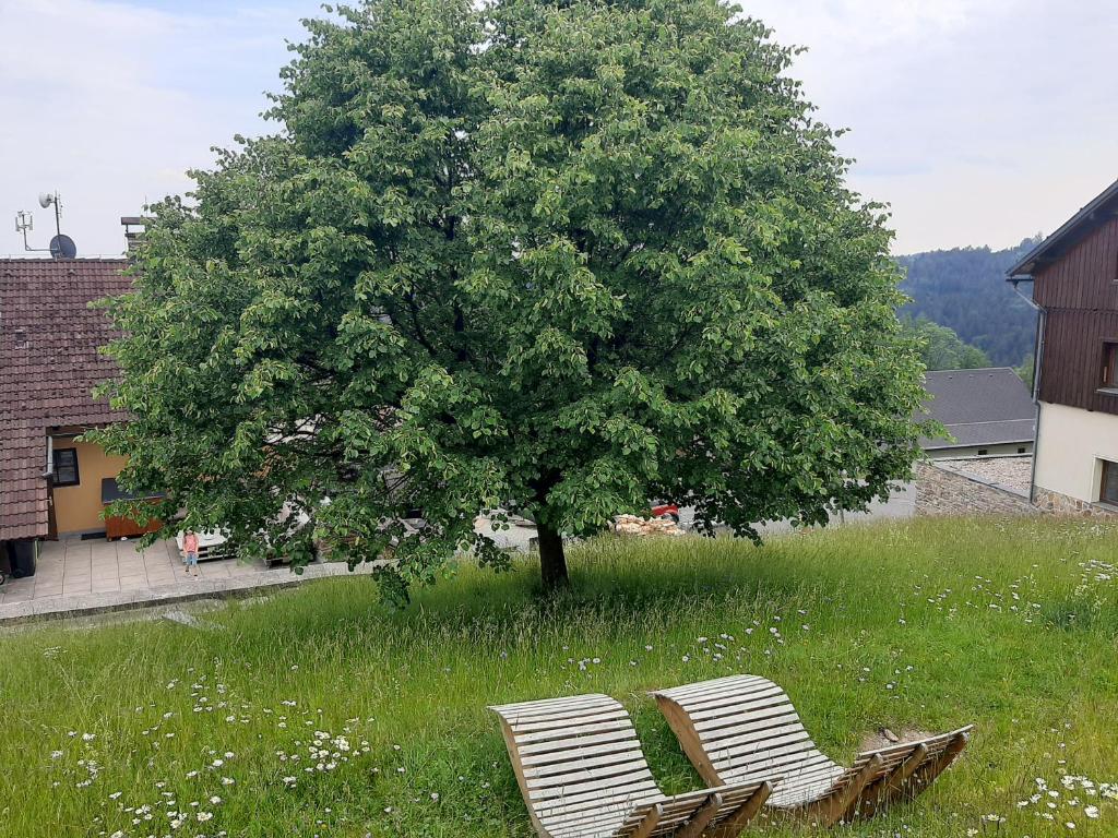 Príroda v okolí penziónu