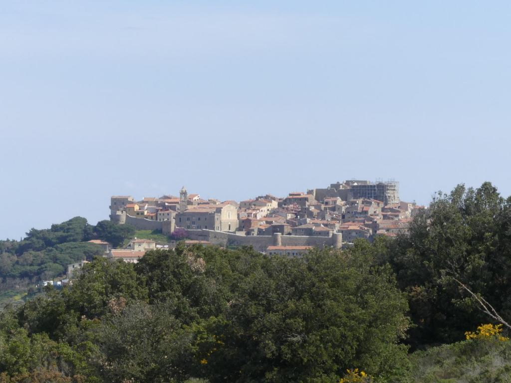 miasto na szczycie wzgórza z drzewami w obiekcie Casa Centurioni w mieście Isola del Giglio