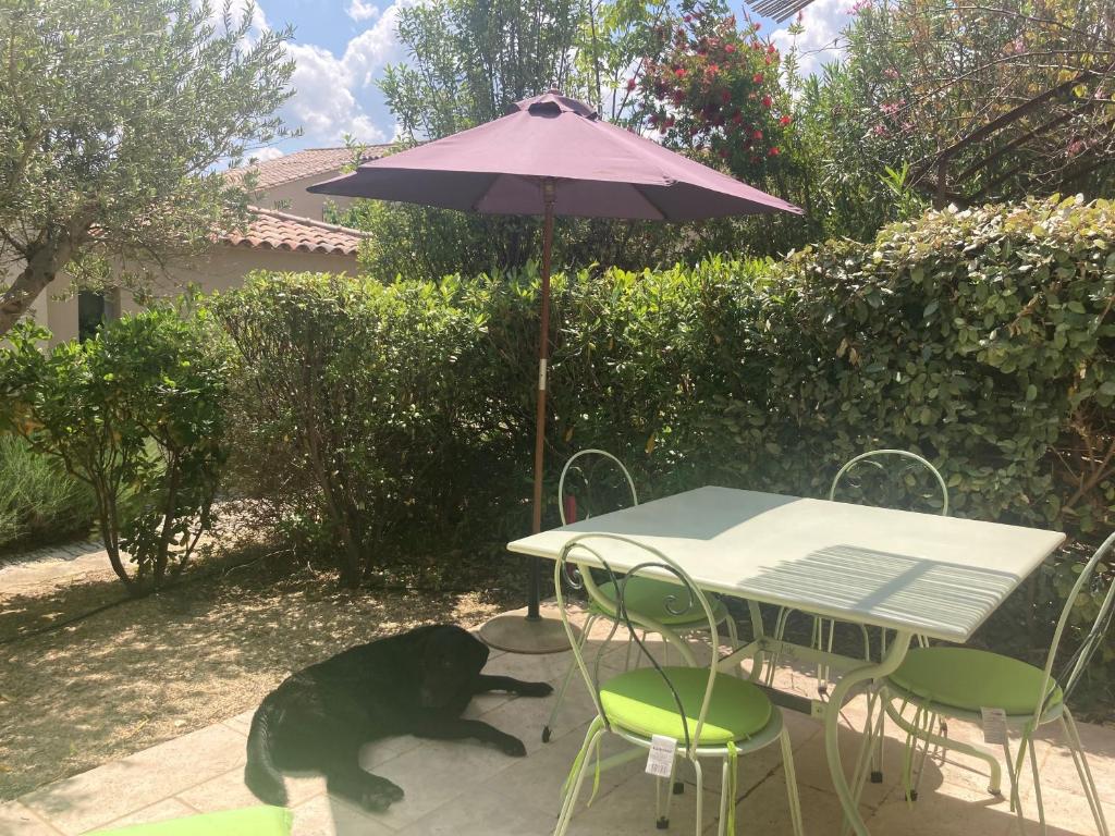 un perro negro junto a una mesa con un paraguas en Bijou Benoit, en Saint-Laurent-de-la-Cabrerisse