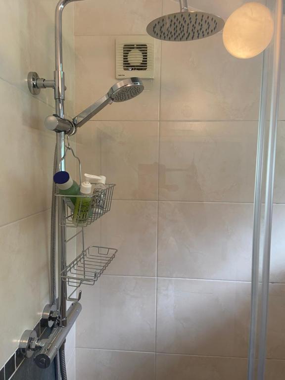 a shower with a glass door and two shelves at Barrow Harbour studio apartment in Tralee