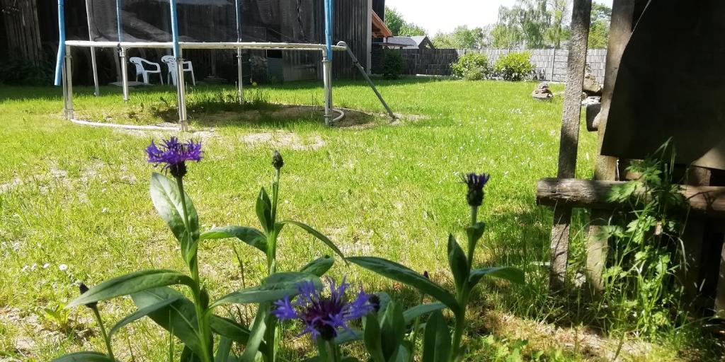Zahrada ubytování VIP-Camping, zelten im Garten