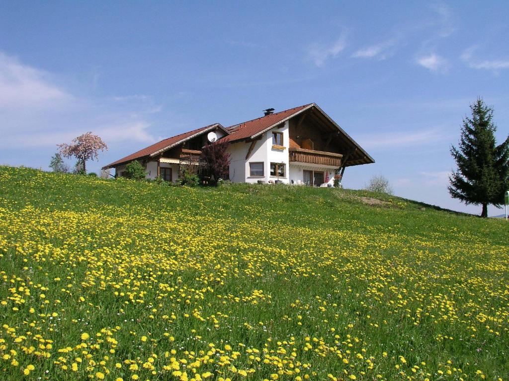 Zahrada ubytování Ferienwohnungen Pension Sonnblick