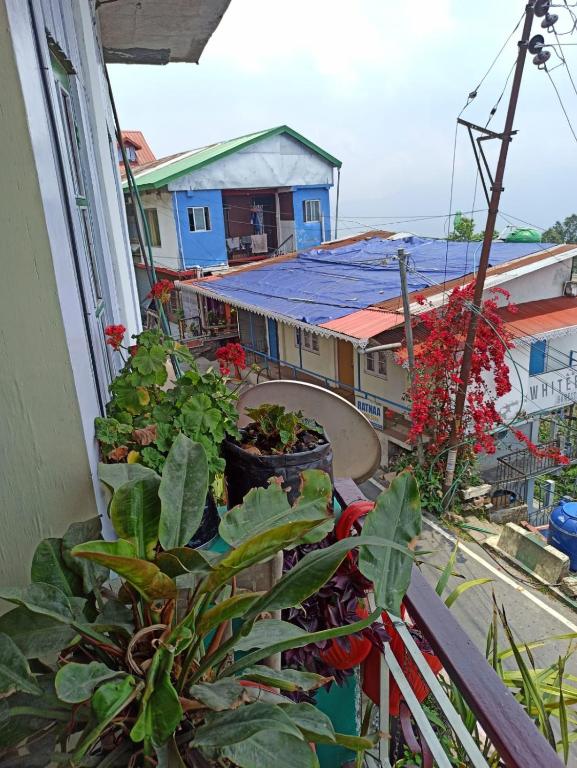 Budova, kde se ubytování v soukromí nachází