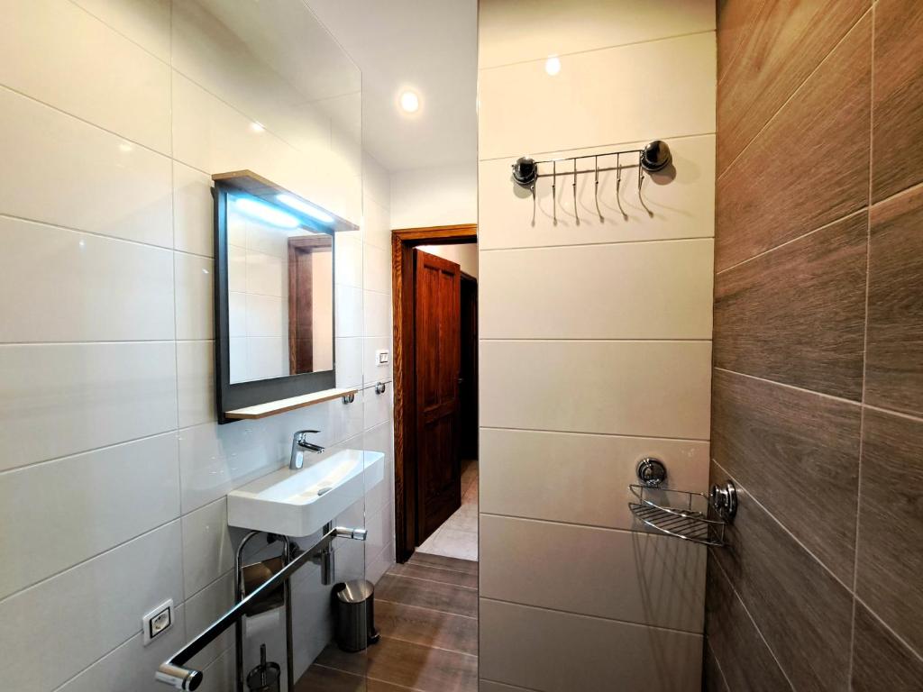 uma casa de banho com um lavatório e um espelho em Studio apartman Olivera em Rovinj
