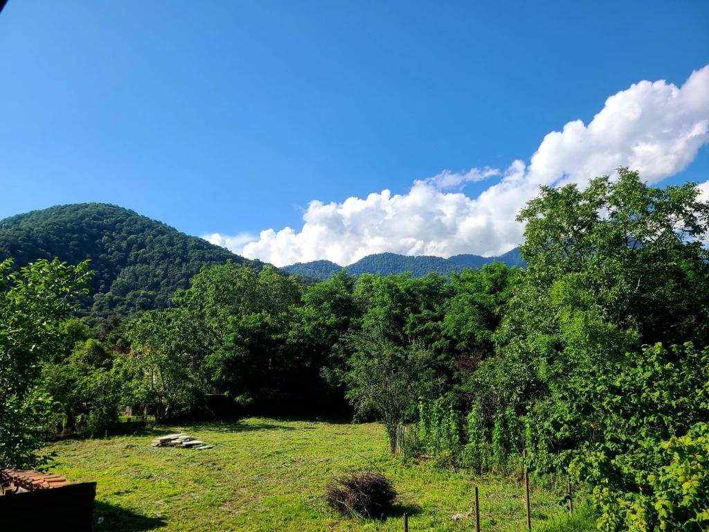 Loodusmaastik of the bed and breakfast lähedal