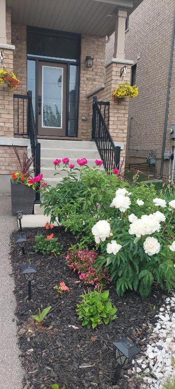a garden of flowers in front of a house at Jahsavvy's Nest in Hamilton