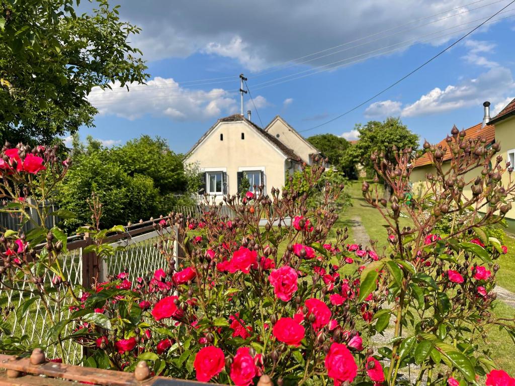 einen Garten mit roten Rosen vor einem Haus in der Unterkunft Das besondere Bauernhäuschen 