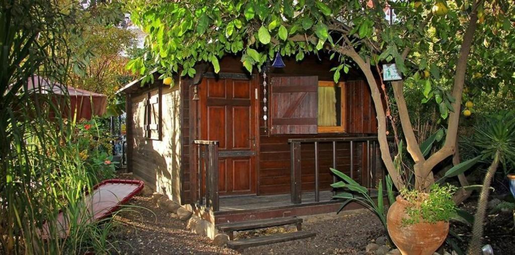 Cabaña pequeña con puerta de madera en un jardín en נופש דביר - סוויטות מקסימות ובקתה כפרית עם ג'קוזי ליד הכנרת - יש מקלט צמוד en Migdal