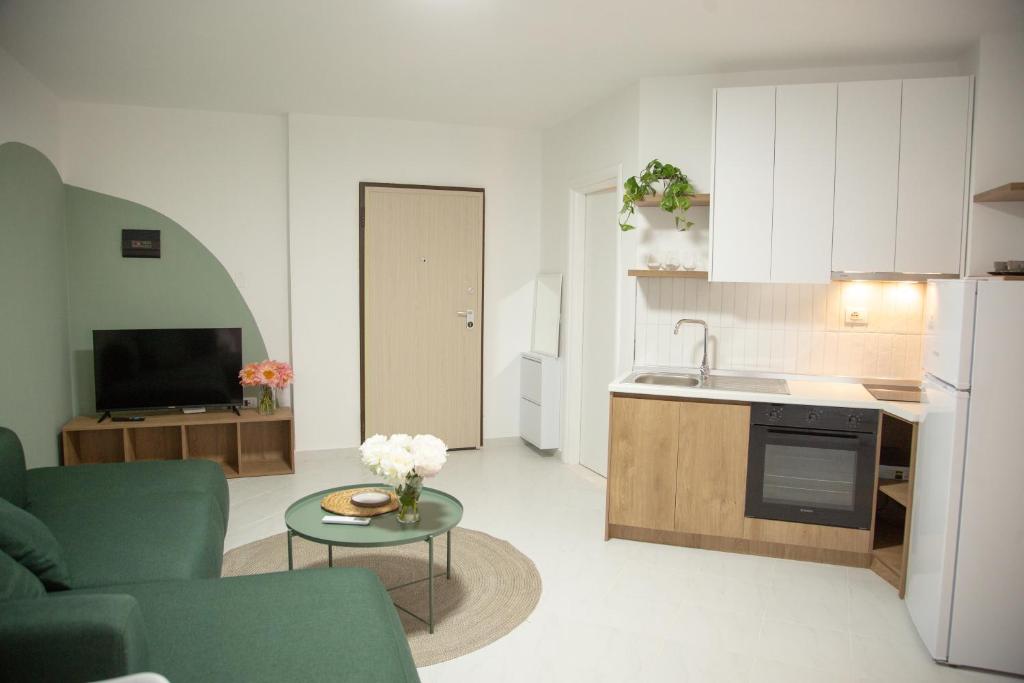 Lulu Suites - Olive - Image 4