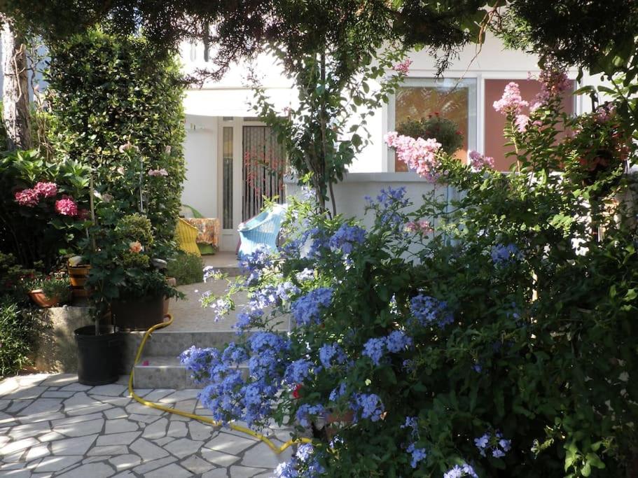 a garden with flowers in front of a house at Apartment in green and quite area, close to beach in Šilo
