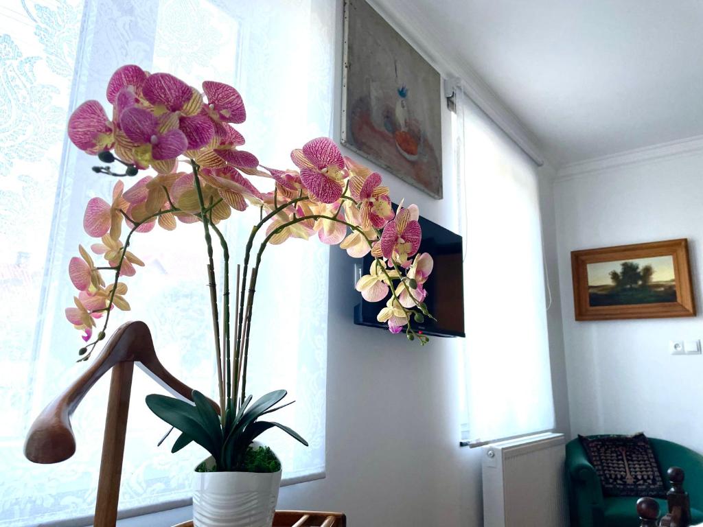 Fotografie z fotogalerie ubytování CHATA OTWARTYCH OKIENNIC Pokoje Gościnne v destinaci Supraśl