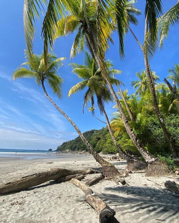 Hoteles en Manuel Antonio, Costa Rica 470523509