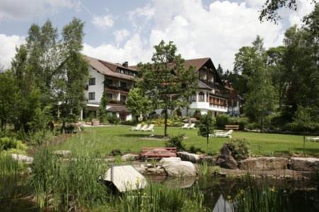 une maison avec un étang en face d'un bâtiment dans l'établissement Hotel Waldblick Kniebis, à Kniebis