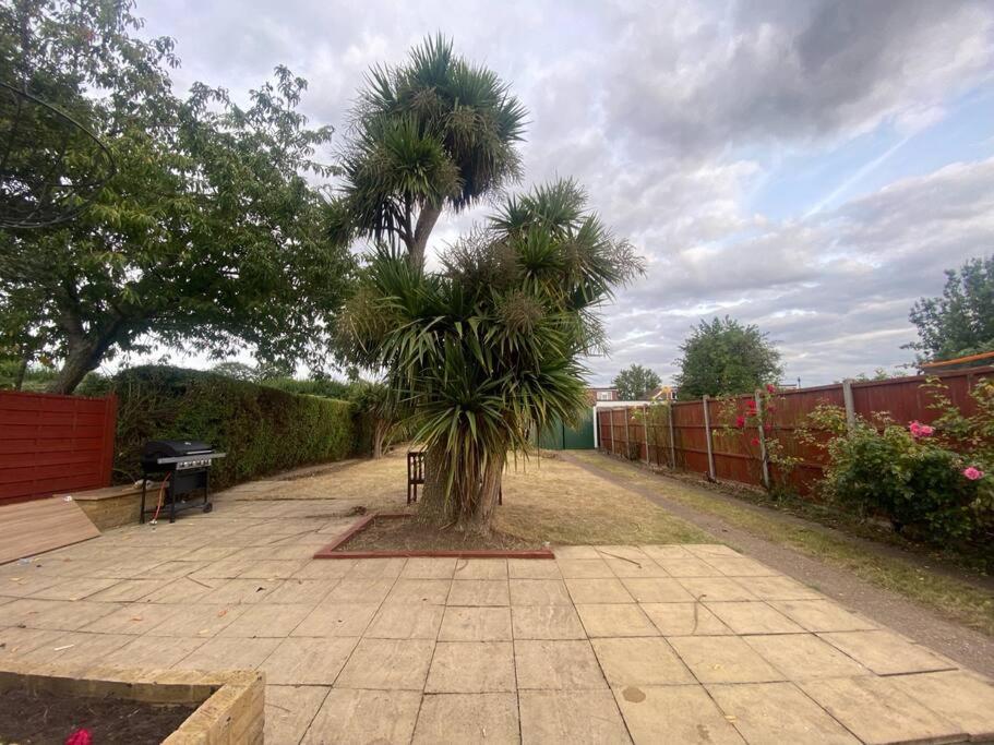 a palm tree in the middle of a patio at Perfect stay with Dallas Studio in Hayes