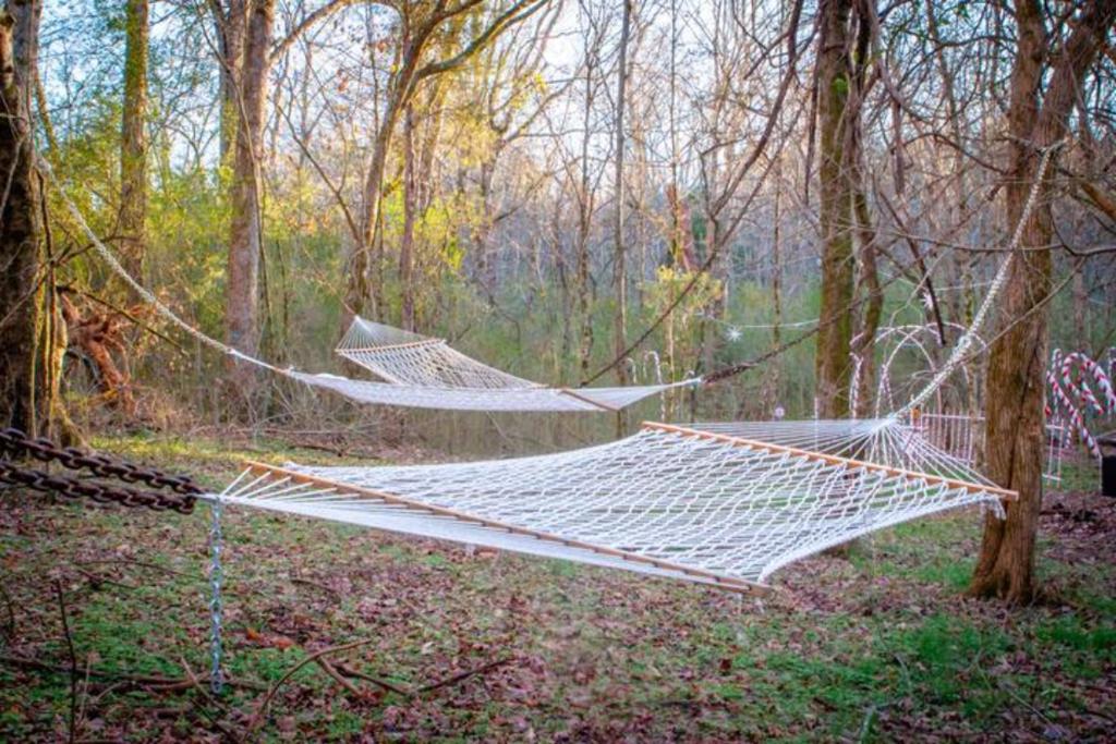 two hammocks in the middle of a forest at Candy Cane Glamp Yurt in the Woods in Columbia
