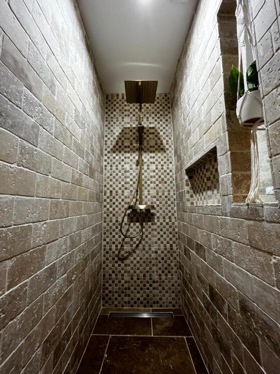 La salle de bains est pourvue d&#39;une douche et d&#39;un mur en briques. dans l&#39;établissement Plein centre - Climatisé - proche cité médiévale, à Carcassonne