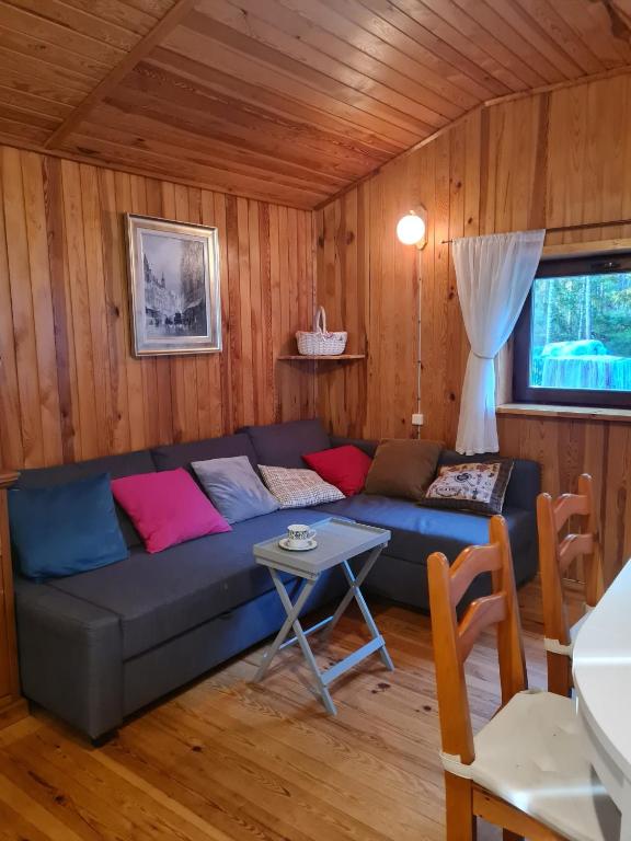 a living room with a couch and a table at Między Sosnami in Jedwabno
