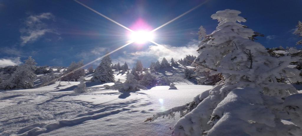Chalet Gaisberg by Apartment Managers during the winter