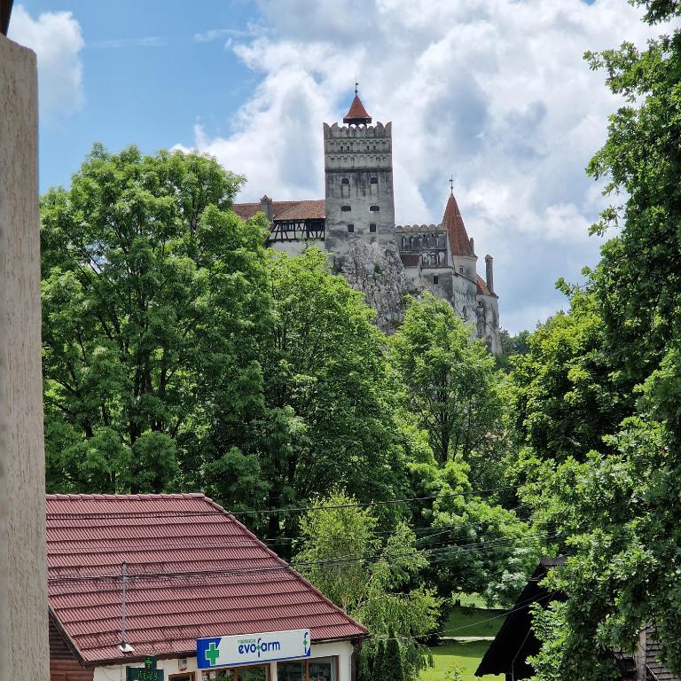 Fotografie z fotogalerie ubytování Casa Miruna & Noris v destinaci Bran