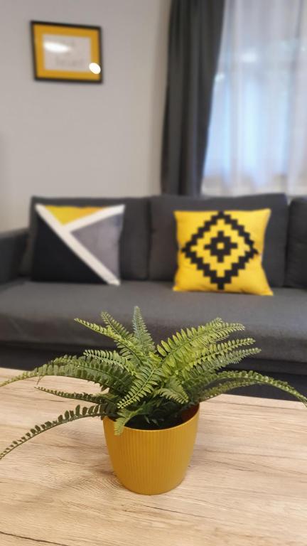Posezení v ubytování Danubia Apartman