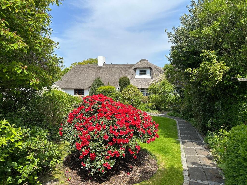 ein Haus mit einem Garten mit roten Blumen davor in der Unterkunft Mövennest in Westerland