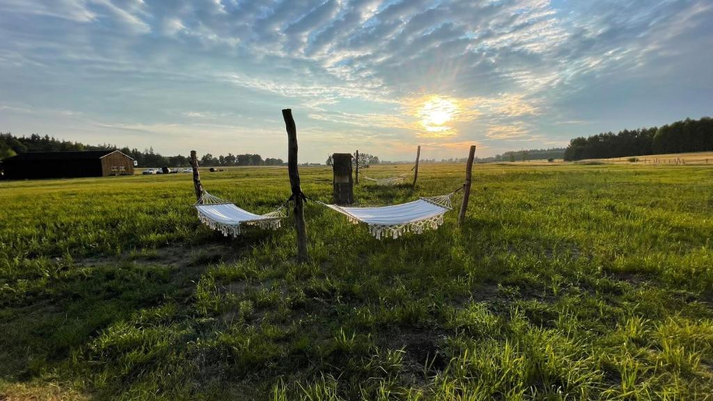 Příroda nedaleko luxury tent