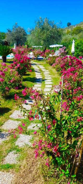 Tenuta del Casale del Jazz - Jazz Emotional Experience - Rooms & Camping in the Countryside