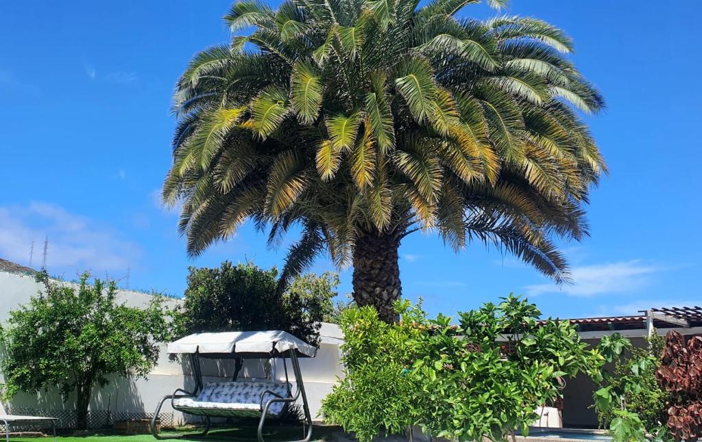 Fotografie z fotogalerie ubytování Villa Magdalena v destinaci Las Palmas de Gran Canaria