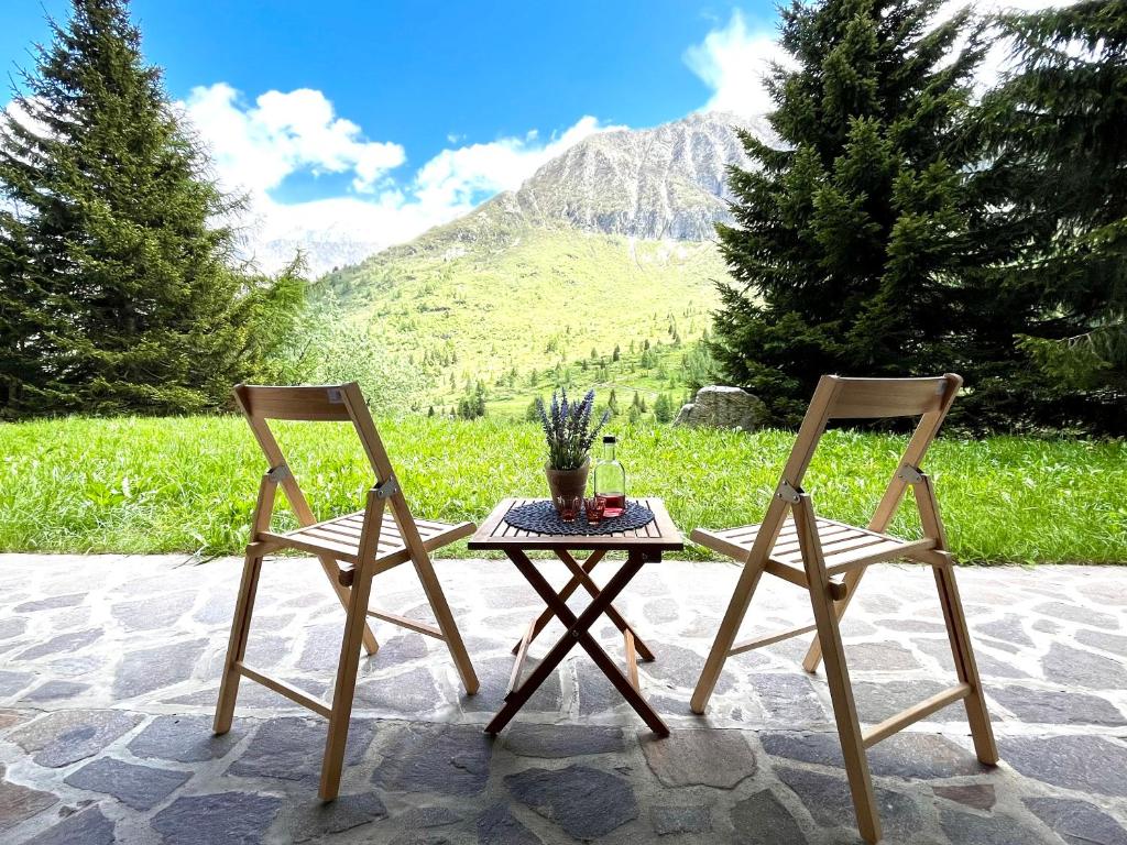 twee stoelen en een tafel met een plant erop bij La Casa Bianca - ski, hike & bike in Passo del Tonale