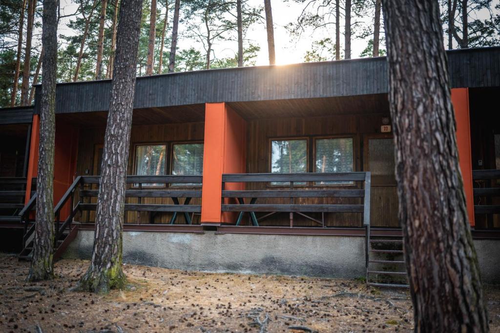 a house in the woods with trees at Chatky Borný in Doksy