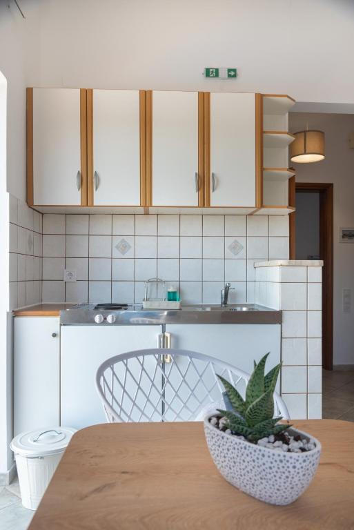 a kitchen with a table with a plant in a bowl at Villa Rodanthi Sivota in Syvota
