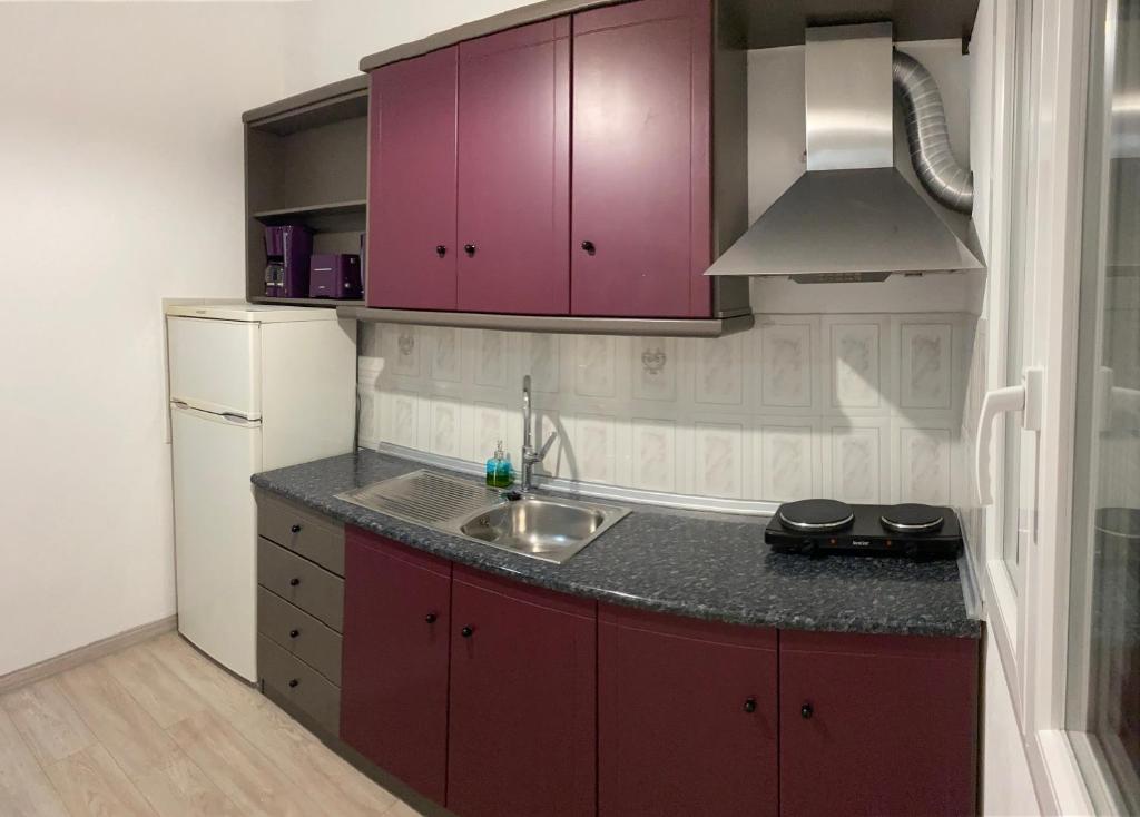 Kuchyň nebo kuchyňský kout v ubytování Nikolaidis House