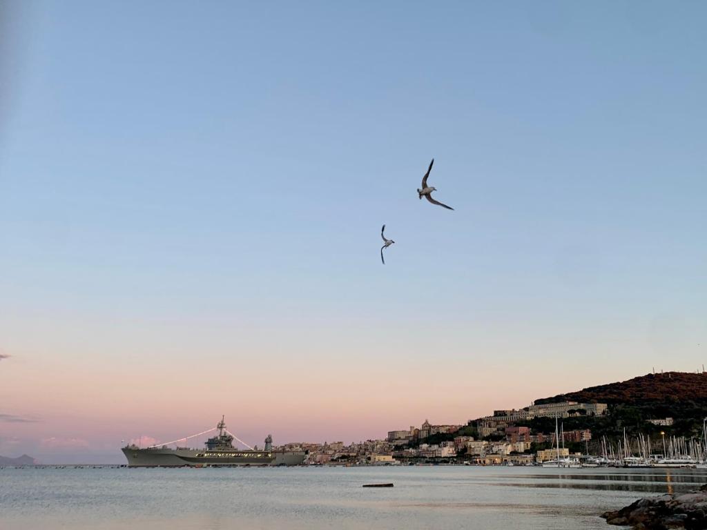 un gran barco en el agua con un pájaro volando en Vico 11 en Gaeta