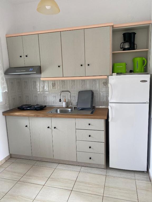 Kuchyň nebo kuchyňský kout v ubytování Nikolaidis House