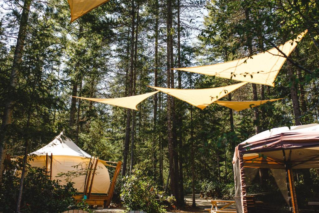 Příroda nedaleko luxury tent