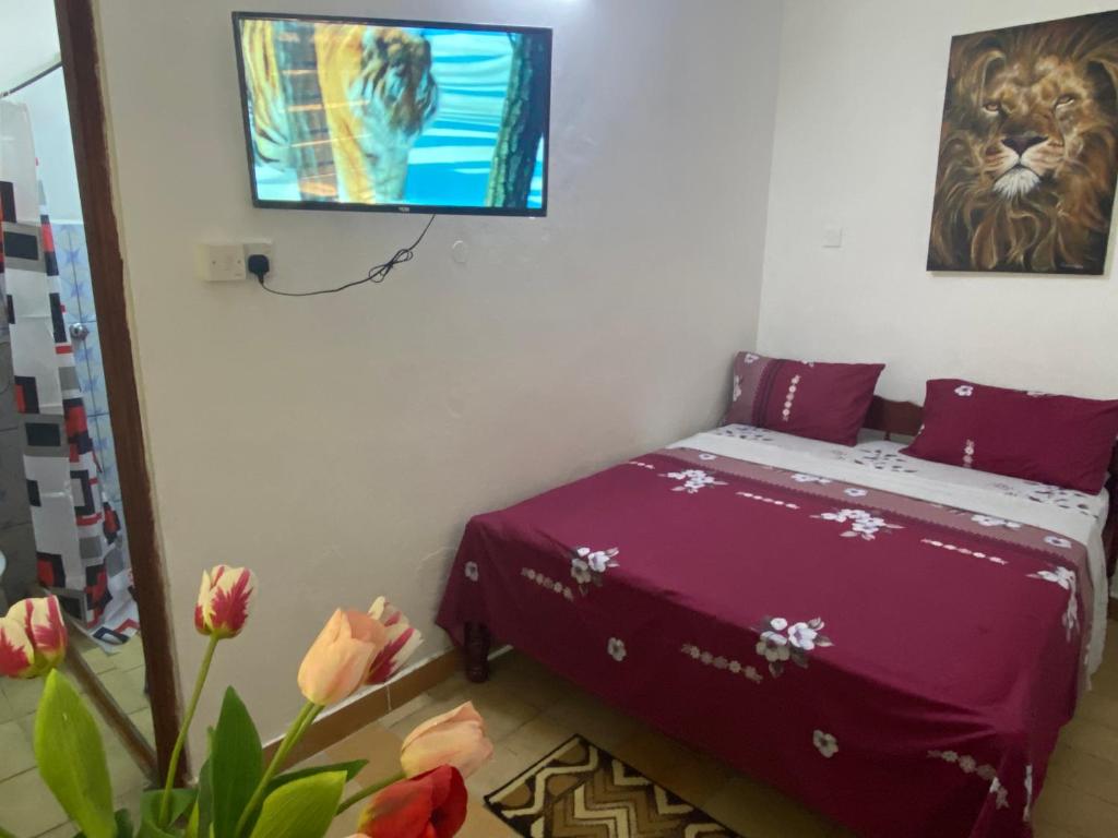 Tradewinds Lodge - Deluxe Studio