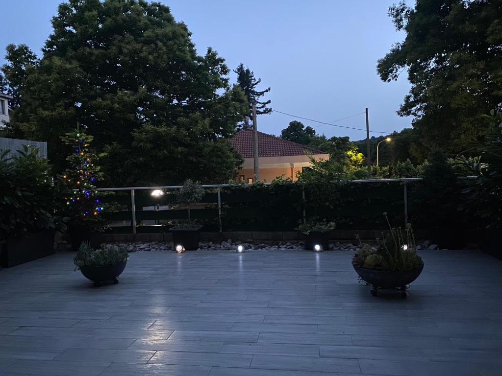 A garden outside Belappart