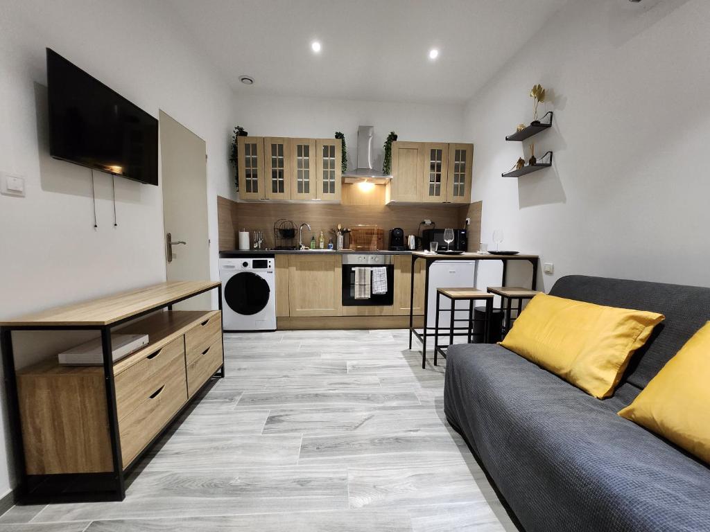 un salon avec un canapé et une cuisine dans l'établissement Studio climatisé avec cour privé en Rez-de-chaussée centre historique, à Avignon