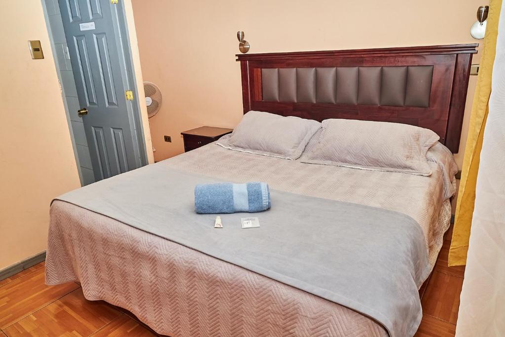 Postel nebo postele na pokoji v ubytování Hotel Pulmahue