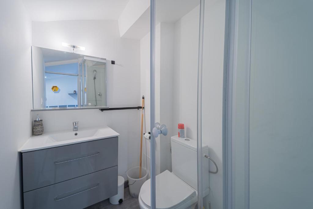 a bathroom with a sink and a toilet and a mirror at La Cloche Studio Hypercentre Mairie in Libourne