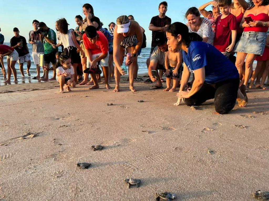 a group of people on a beach with turtles at Chalé do Coqueiro in Luis Correia