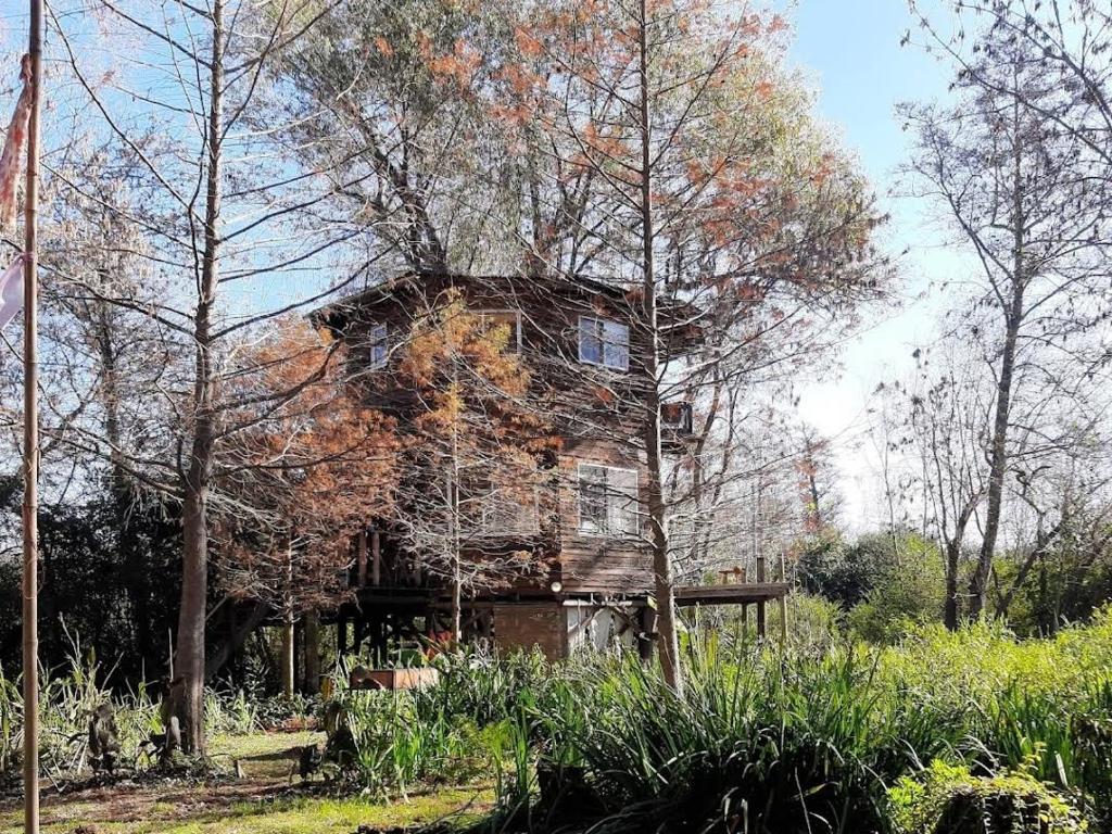 an old house sitting in the middle of a forest at El octogono in Tigre