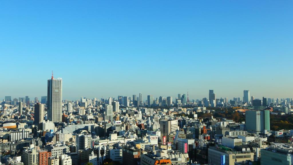 an aerial view of a large city with skyscrapers at Hotel Gracery Shinjuku in Tokyo