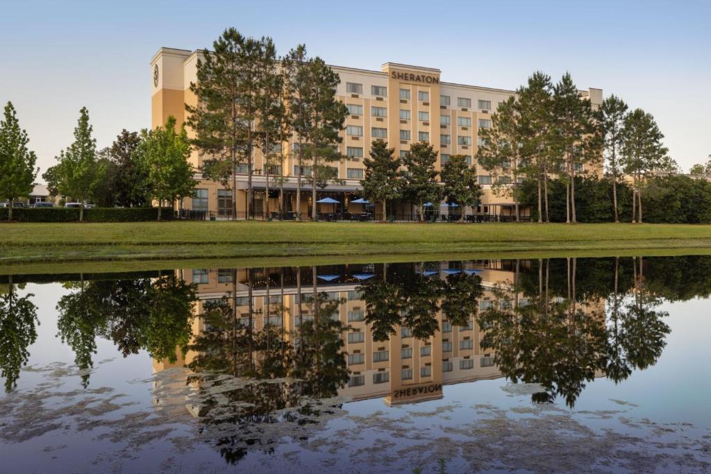 a building with its reflection in a lake at Sheraton Jacksonville Hotel in Jacksonville